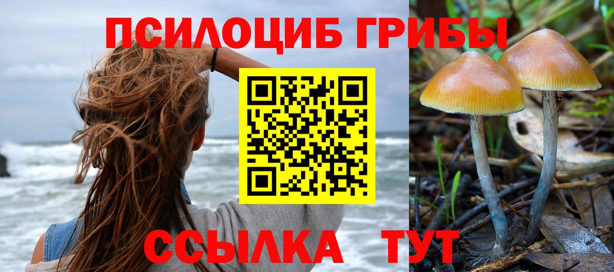 Галлюциногенные грибы ЛСД  даркнет сайт  Алексин  Вход с VPN 